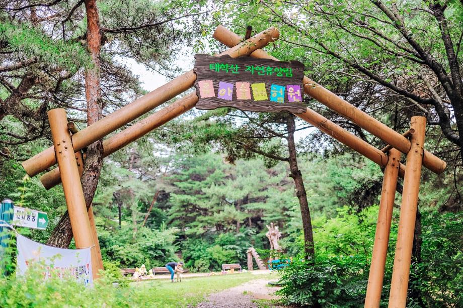 아이들이 행복한 태학산자연휴양림 유아숲체험원