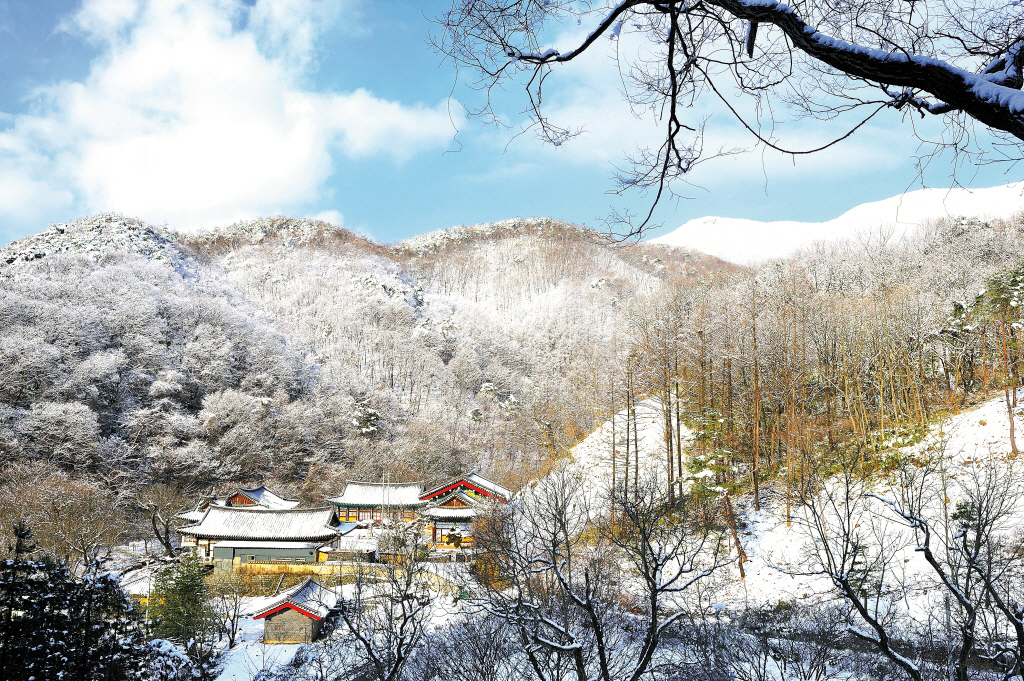 Snowy landscApe of GwangdeokSan mountain